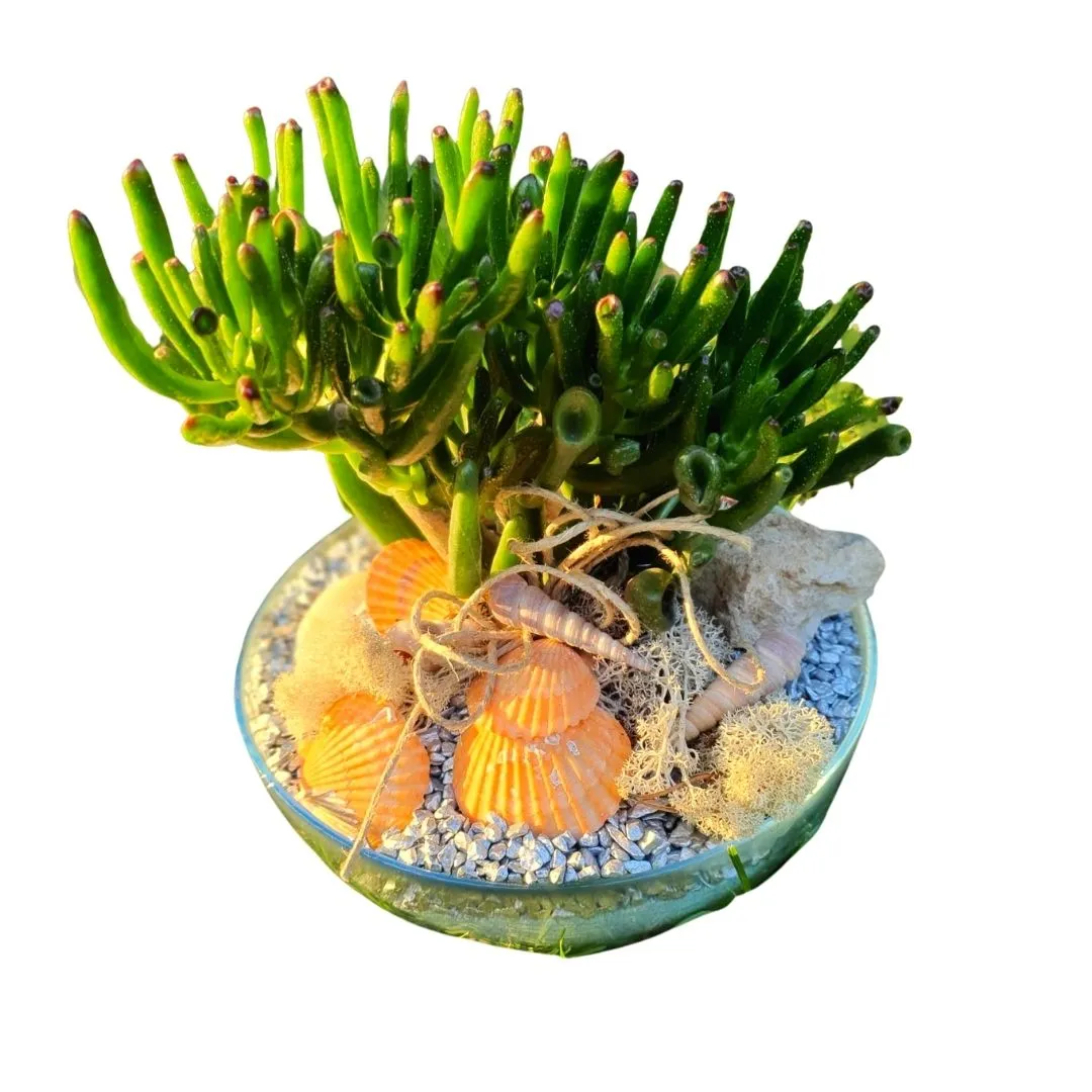 Ljetni aranžman 1 Ljetni aranžman