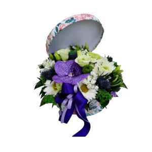 Ljubičasto iznenađenje