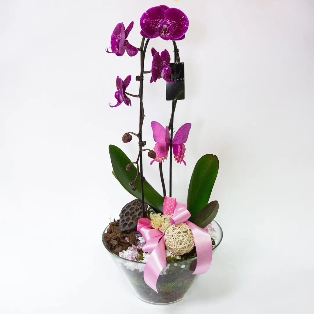 Mini vrt D 1 Mini vrt D